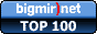 bigmir)net TOP 100