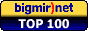 bigmir)net TOP 100