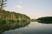 The Commission is trying to protect the Rospuda valley in Poland