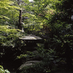 Nomura House garden, Kanazawa