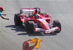 Massa celebrating victory at the 2006 Brazilian Grand Prix.