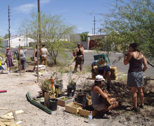 community gardeners