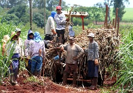 Los corteros exigen ser reconocidos como trabajadores