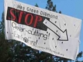 Tree Sitters Occupy Humboldt Redwoods