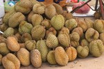 Durian