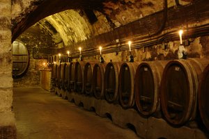 Wine cellar of the Würzburg Residence