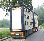 polnischer rinder tiertransport nach frankreich