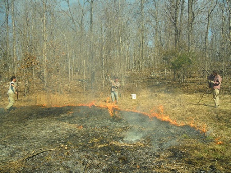 Pilgrim, Zeke and Quinn - super heroes of the burn