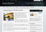 New WP Theme: Function