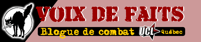 Voix de faits | Blogue de combat