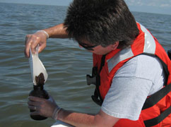 EPA employee collecting weathered oil sample in the Gulf of Mexico