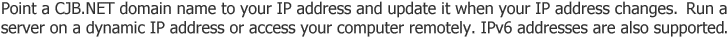 Point a CJB.NET domain name to your IP address and update it when your IP address changes.