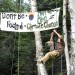 John Patriquin /Staff Photographer;Thursday, 07/01/10. Kit Pearson from Fort Collins, Colorado practices tree climbing as Earth First holds its North Woods Round River Rendezvous on private land in Stratton, Me.