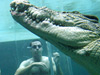 Croc diving / Justin Sanson