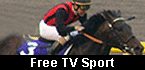 Free TV Sport