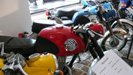 A row of shining motorbikes