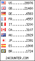 visitors by country counter