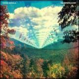 Innerspeaker   - Tame Impala