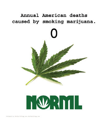 NORML annual deaths.jpg