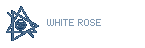 White Rose