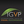 IGVP