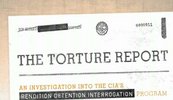 The Torture Report