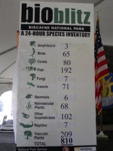 Biscayne BioBlitz Tally