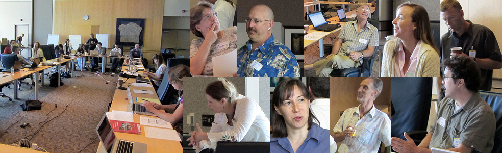 Montage of triage workshop participants