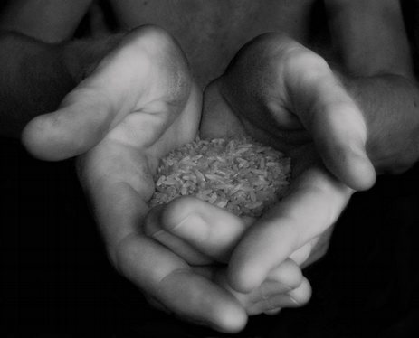 Rice-hand-food