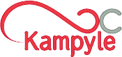 Feedback Form - Kampyle