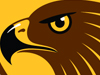 Hawthorn hawks logo