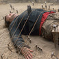 Movie Review: Gulliver's Travels