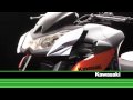 Kawasaki Z1000 2010