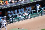 Detroit Tigers Dugout 2010