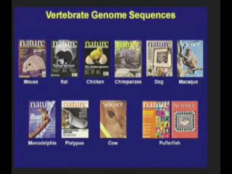 The Genomic Landscape circa 2010