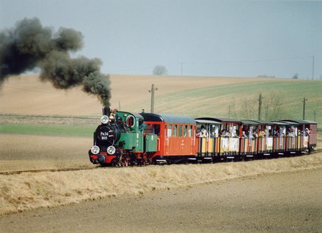 The 600 mm Narrow Gauge Railway in Żnin, Poland - the steam locomotive Px38-805 called 