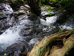 water stream in the monsoon season