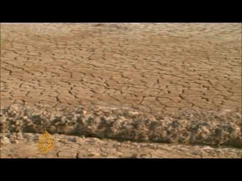 Syrian farmers battle drought - 09 Dec 09