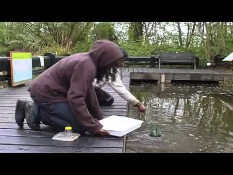 Camley Street Natural Park, London Wildlife Trust 2009