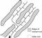 Trellis drainage pattern.