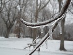 Ice forming on the limbs of trees in Pocahontas, Illinois, USA during a winter storm on February 1, 2011.