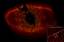 Fomalhaut with Disk Ring and extrasolar planet b