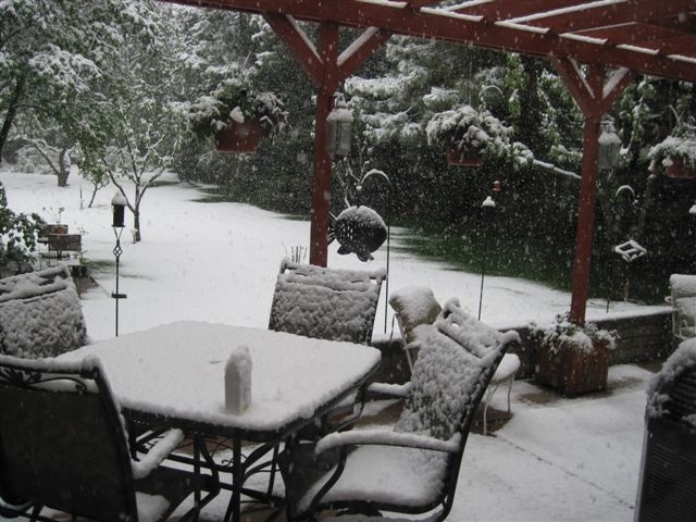 5-24-10 snow II.JPG