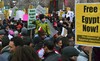 NYC Rally for Egyptian Democracy Protestors, 29 January 2011 003