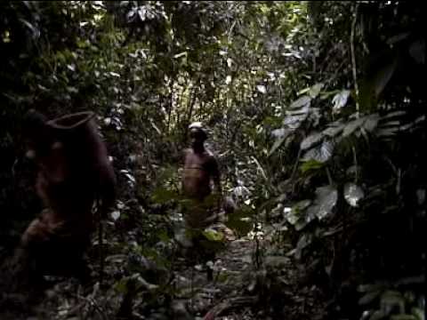 Jamming with the Baka in the Rainforest