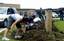 Volunteers from Naval Station Great Lakes dig up weeds from around the base of the Forrestal School brick sign during a school makeover.