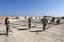 Air Force members assigned to the 355th AEG (Air Expeditionary Group) assemble TEMPER (Tent Extendable Modular Personnel) tent frames at Masirah Air Base, Oman. The tents will be shelters for incoming troops deployed in support of Operation ENDURING FREED