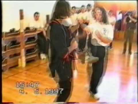 Sifu Heinrich Pfaff / Private Cut Wing Tsun WT