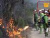 Scientists warn about prescribed burning