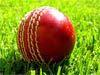 Cricket Ball